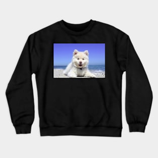 Finnish Lapphund Crewneck Sweatshirt